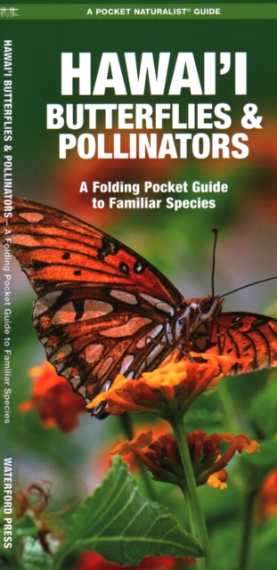 Hawai'i Butterflies and Pollinators : A Folding Pocket Guide to Familiar Species, Pamphlet Book