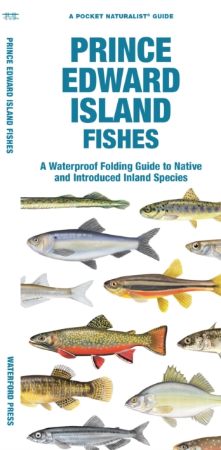 Prince Edward Island Fishes : A Waterproof Folding Guide to Native and Introduced Freshwater Species, Pamphlet Book
