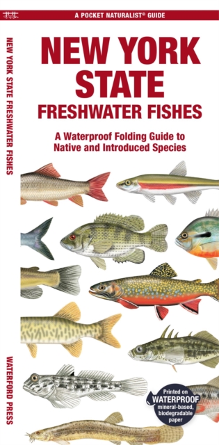 New York State Freshwater Fishes : A Waterproof Folding Guide to Native and Introduced Species, Pamphlet Book