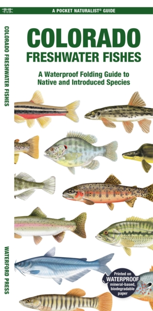 Colorado Freshwater Fishes : A Waterproof Folding Guide to Native and Introduced Species, Paperback / softback Book