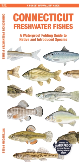 Connecticut Freshwater Fishes : A Waterproof Folding Guide to Native and Introduced Species, Pamphlet Book