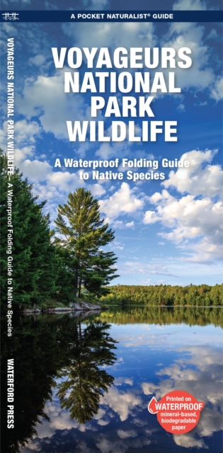 Voyageurs National Park Wildlife : A Waterproof Folding Pocket Guide to Native Species, Pamphlet Book