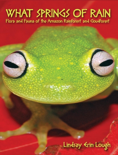 What Springs of Rain : Flora and Fauna of the Amazon Rainforest and Cloudforest, Hardback Book