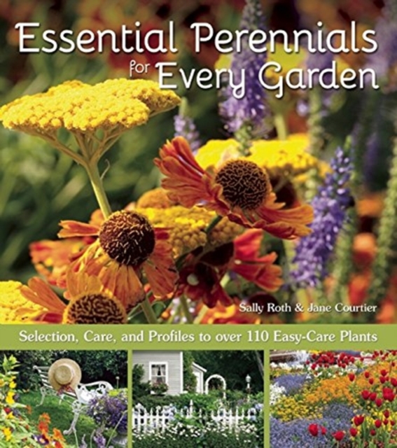 Essential Perennials for Every Garden : Selection, Care, and Profiles to Over 110 Easy Care Plants, Paperback / softback Book