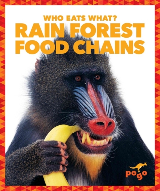 Rain Forest Food Chains, Hardback Book