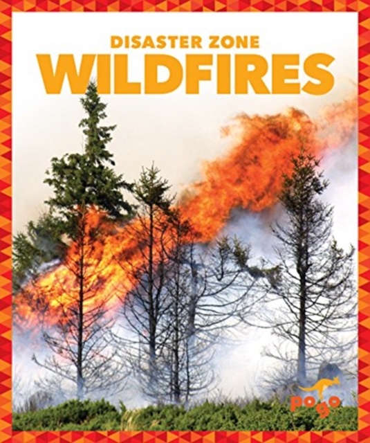 Wildfires, Hardback Book