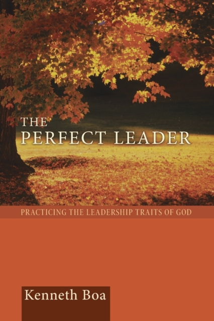 Perfect Leader : Practicing the Leadership Traits of God, Paperback / softback Book