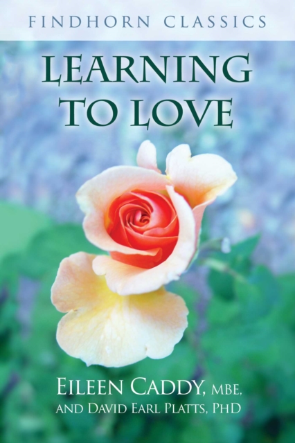 Learning to Love, Paperback / softback Book