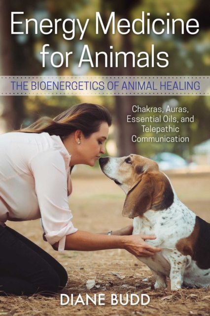 Energy Medicine for Animals : The Bioenergetics of Animal Healing, Paperback / softback Book