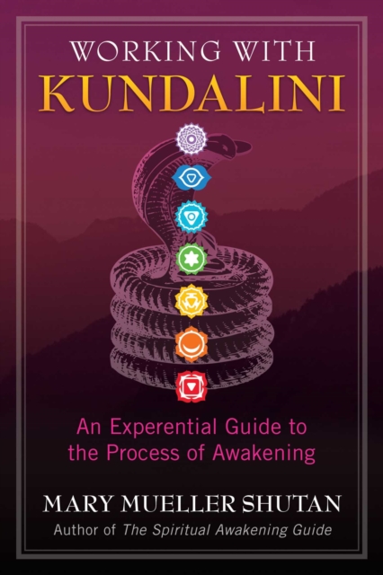 Working with Kundalini : An Experiential Guide to the Process of Awakening, Paperback / softback Book