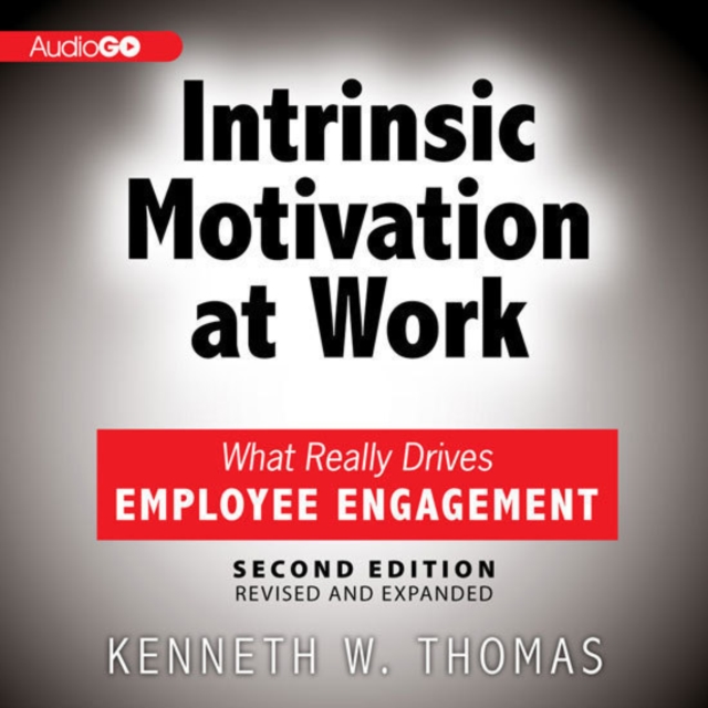 Intrinsic Motivation at Work, 2nd Edition, eAudiobook MP3 eaudioBook