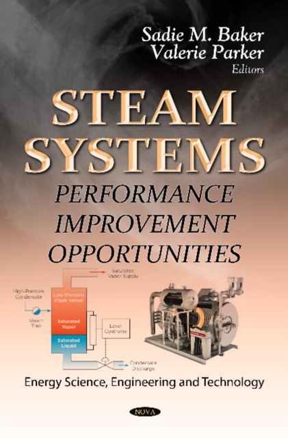 Steam Systems : Performance Improvement Opportunities, Hardback Book