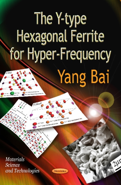 Y-type Hexagonal Ferrite for Hyper-Frequency, Paperback / softback Book