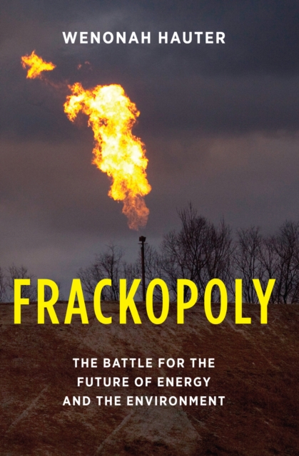 Frackopoly : The Battle for the Future of Energy and the Environment, EPUB eBook