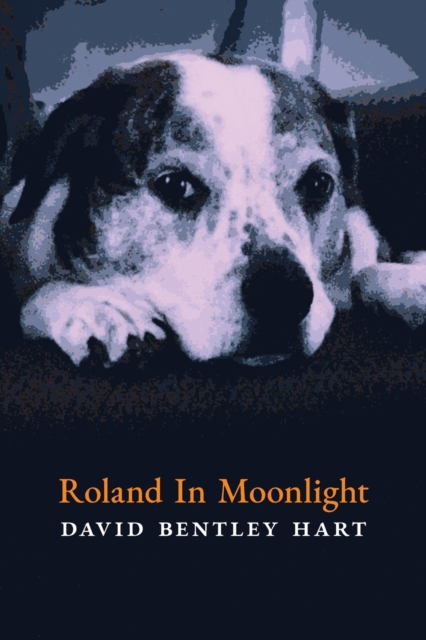 Roland in Moonlight, Paperback / softback Book