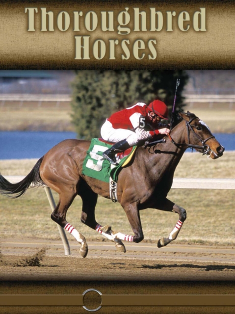 Thoroughbred Horses, PDF eBook