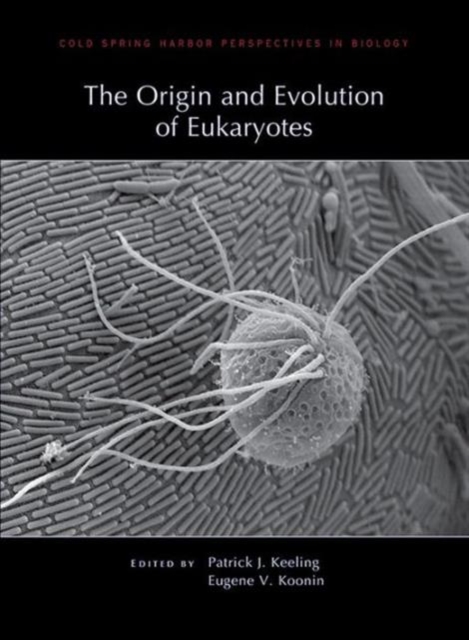 The Origin and Evolution of Eukaryotes, Hardback Book
