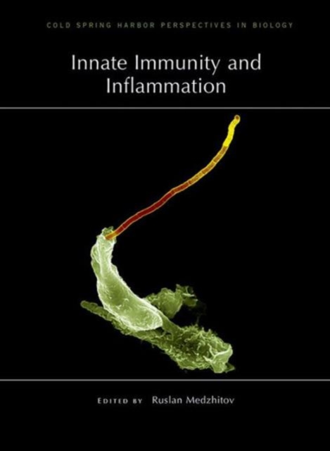 Innate Immunity and Inflammation, Hardback Book