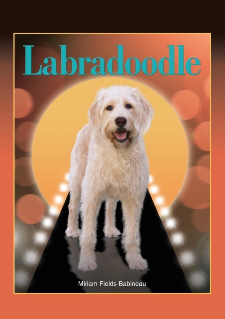 Labradoodle, Paperback / softback Book