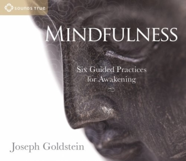 Mindfulness : Four Guided Practices for Awakening, CD-Audio Book
