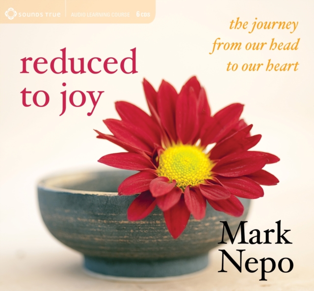 Reduced to Joy : The Journey from Our Head to Our Heart, CD-Audio Book