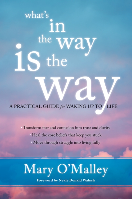 What'S in the Way is the Way : A Practical Guide for Waking Up to Life, Paperback / softback Book