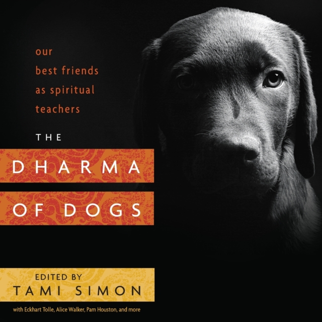 Dharma of Dogs : Our Best Friends as Spiritual Teachers, Paperback / softback Book