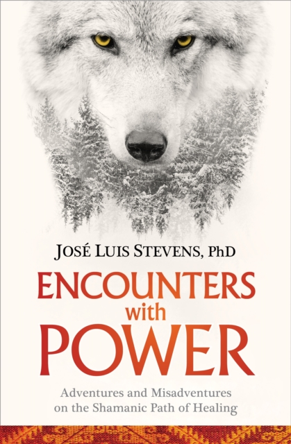 Encounters with Power : Adventures and Misadventures on the Shamanic Path of Healing, Paperback / softback Book