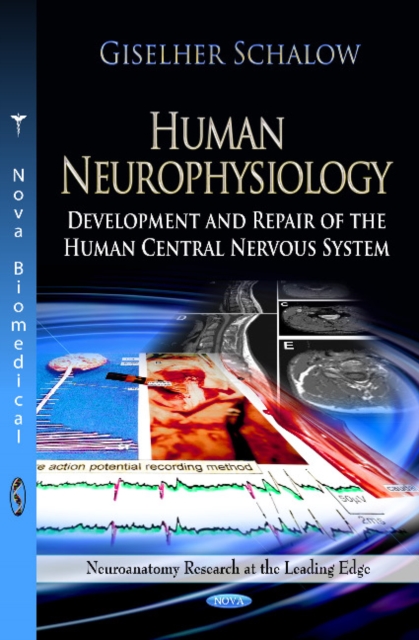 Human Neurophysiology : Development & Repair of the Human Central Nervous System, Hardback Book