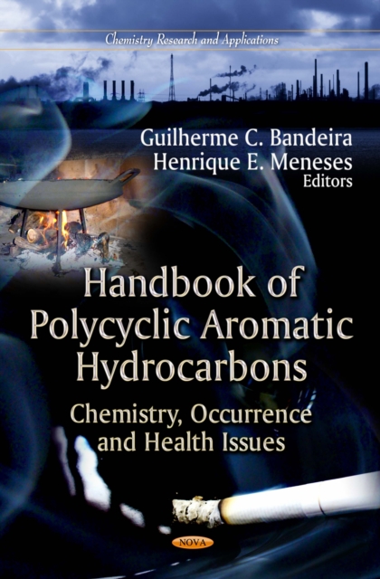 Handbook of Polycyclic Aromatic Hydrocarbons : Chemistry, Occurrence and Health Issues, PDF eBook