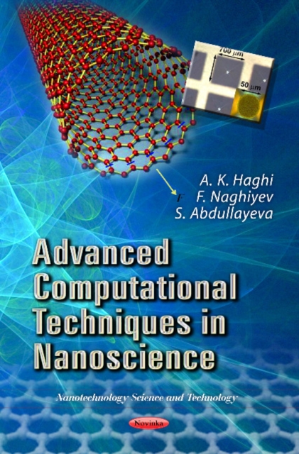 Advanced Computational Techniques in Nanoscience, Paperback / softback Book