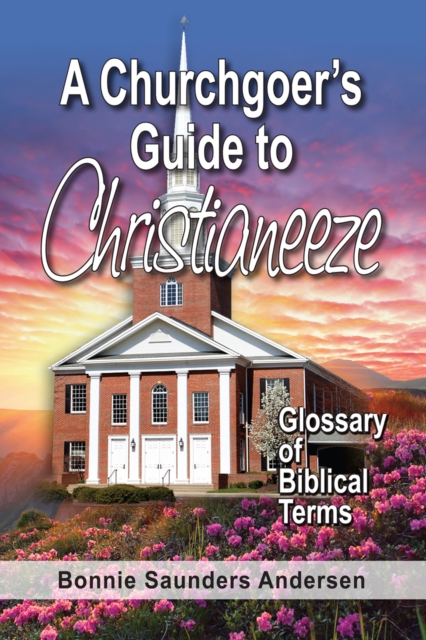 A Churchgoer's Guide to Christianeeze, EPUB eBook