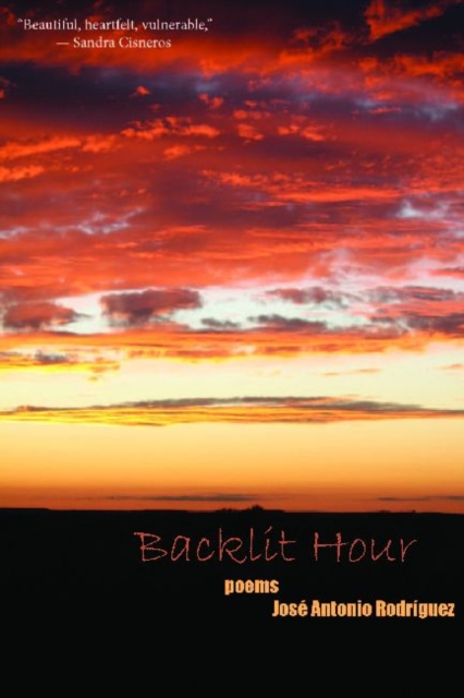 The Backlit Hour, Paperback / softback Book