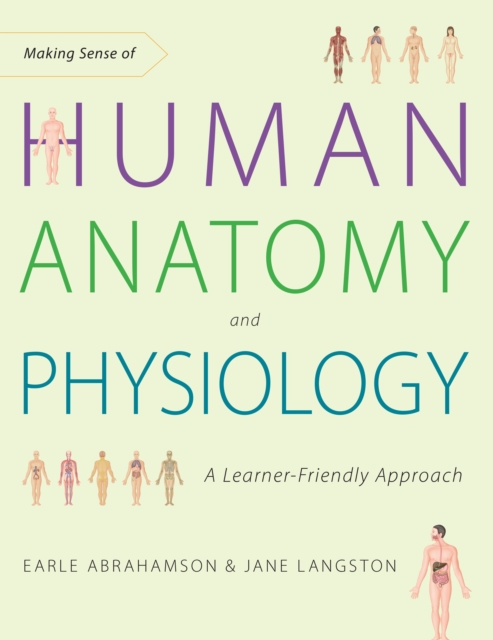 Making Sense Of Human Anatomy And Physiology : A Learner-Friendly Approach, Paperback / softback Book