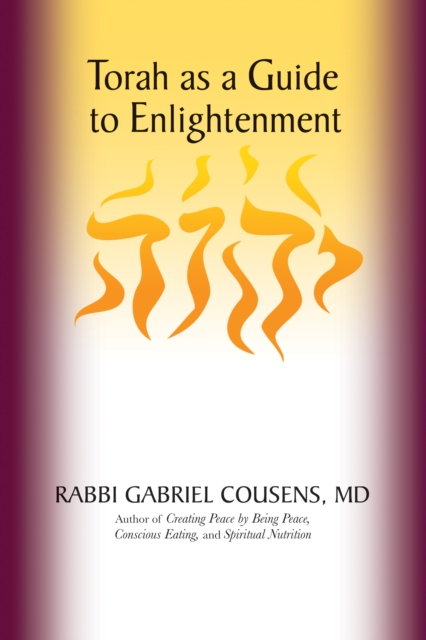 Torah as a Guide to Enlightenment, Paperback / softback Book