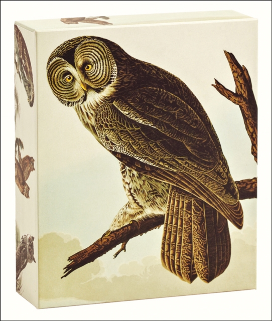 Audubon Owls : QuickNotes, Cards Book