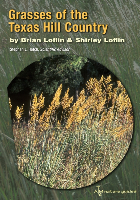 Grasses of the Texas Hill Country : A Field Guide, PDF eBook