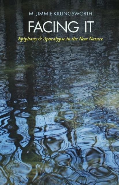 Facing It : Epiphany and Apocalypse in the New Nature, Paperback / softback Book