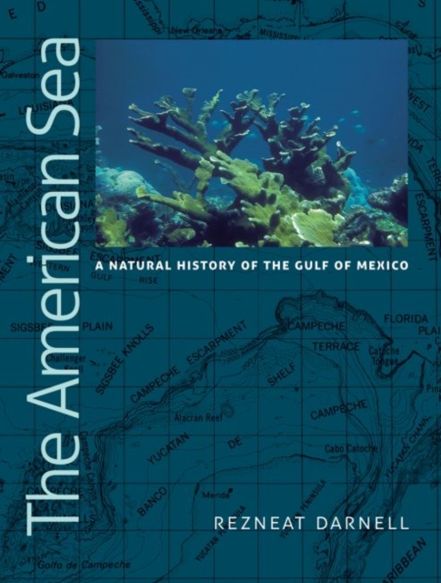 The American Sea : A Natural History of the Gulf of Mexico, Hardback Book