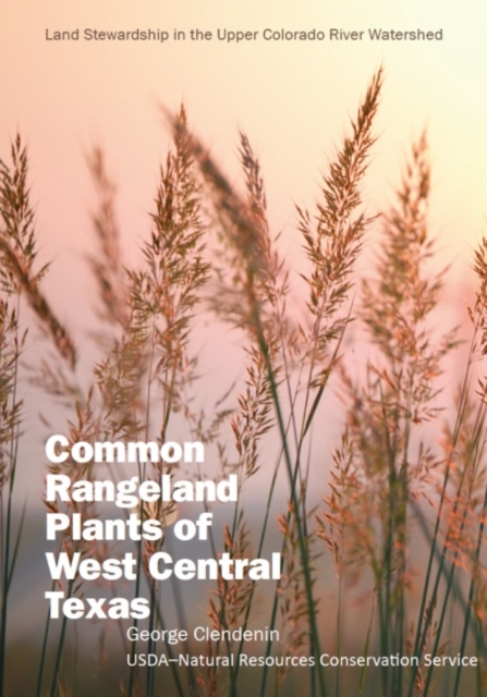Common Rangeland Plants of West Central Texas, Paperback / softback Book