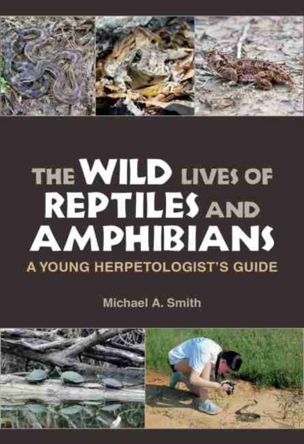 The Wild Lives of Reptiles and Amphibians : A Young Herpetologist's Guide, Paperback / softback Book