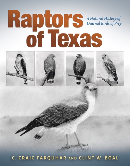 Raptors of Texas : A Natural History of Diurnal Birds of Prey, Hardback Book