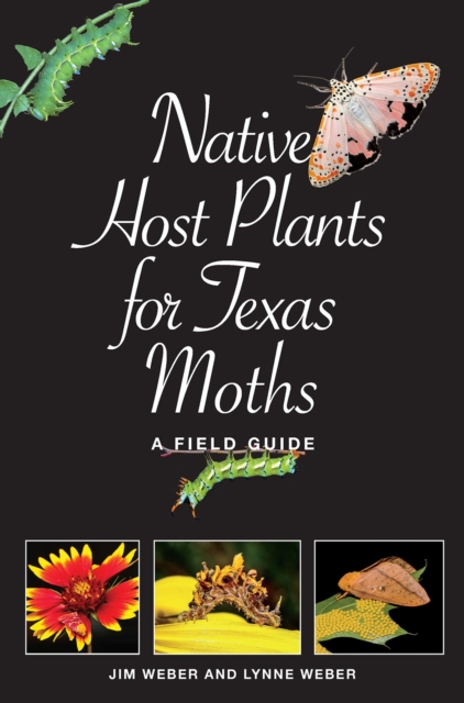 Native Host Plants for Texas Moths : A Field Guide, Paperback / softback Book