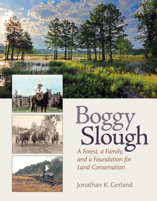 Boggy Slough : A Forest, a Family, and a Foundation for Land Conservation, Hardback Book