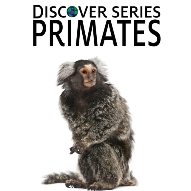 Primates, Paperback / softback Book