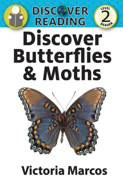 Discover Butterflies & Moths, Paperback / softback Book