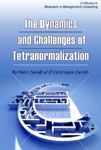 The Dynamics and Challenges of Tetranormalization, Paperback / softback Book