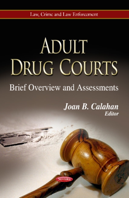 Adult Drug Courts : Brief Overview & Assessments, Paperback / softback Book
