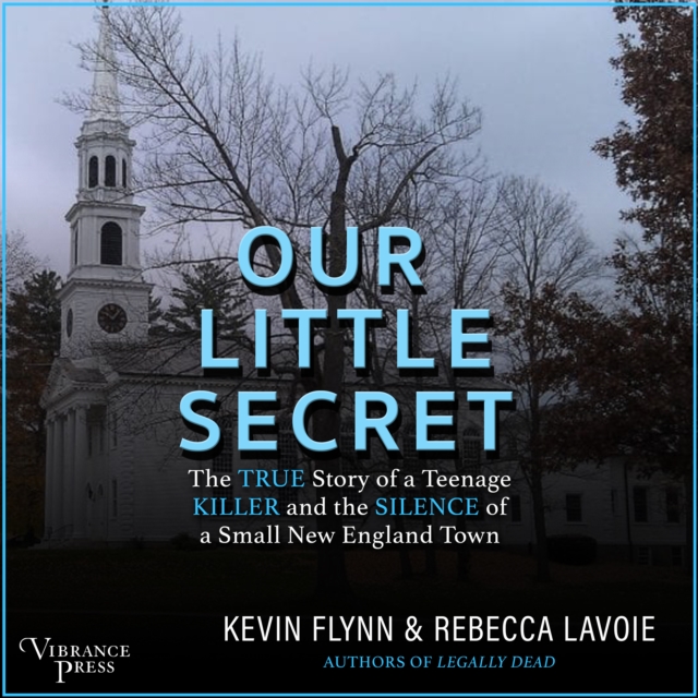 Our Little Secret, eAudiobook MP3 eaudioBook