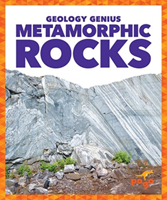 Metamorphic Rocks, Hardback Book